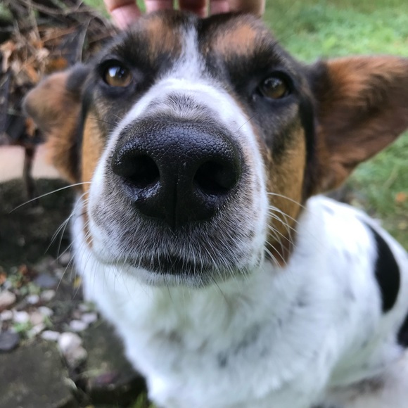 Welcome! Come on in... - Picture 7 of 8